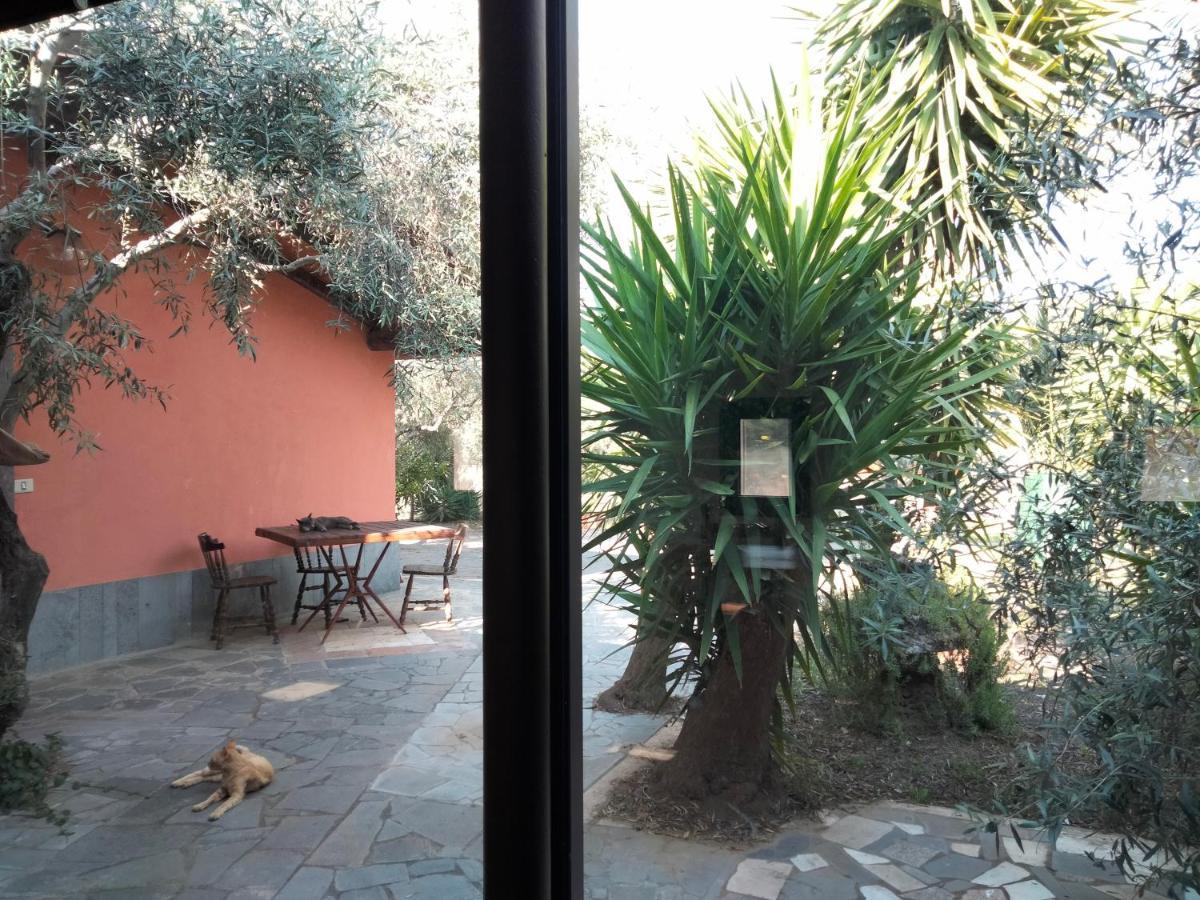 Cuntarati Nature Tourism - Simeto Etna Bronte Extérieur photo
