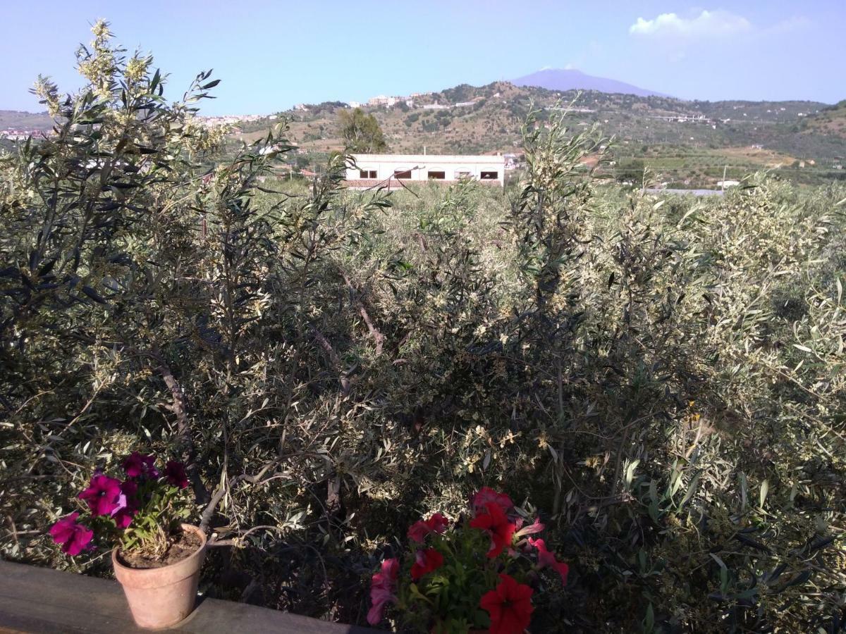 Cuntarati Nature Tourism - Simeto Etna Bronte Extérieur photo